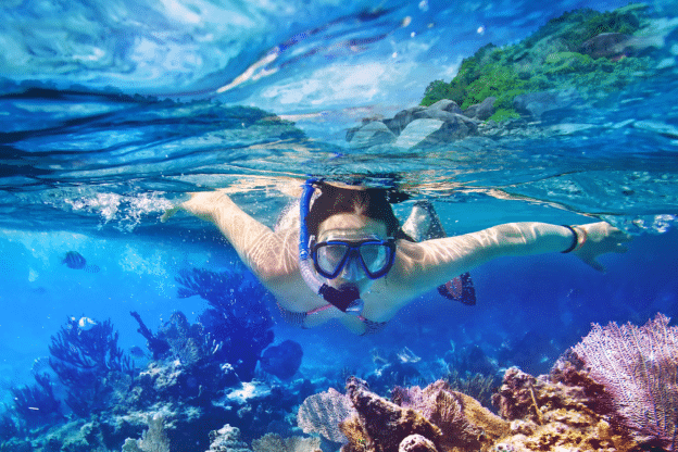 Snorkeling Tours in Miami